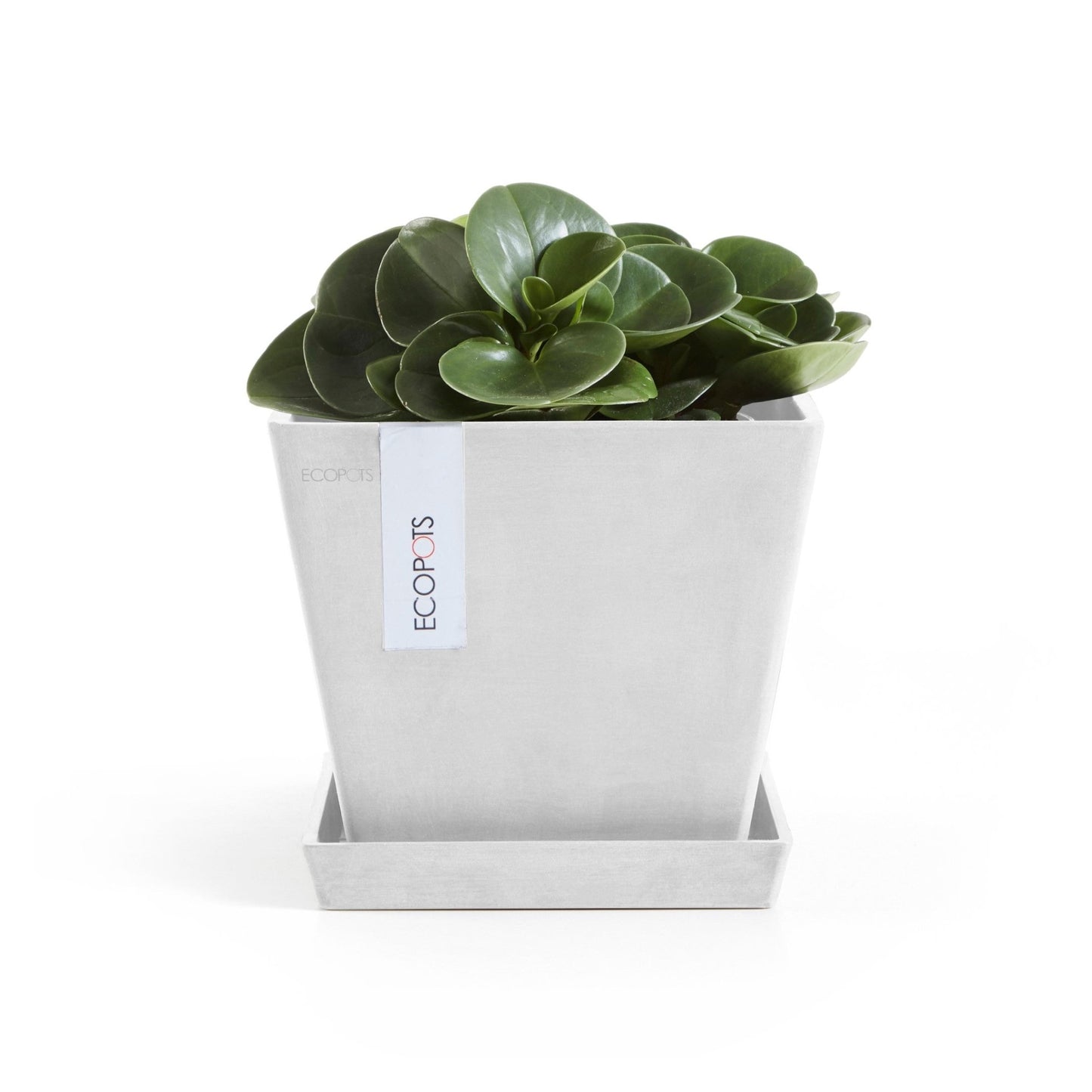 Kukkaruukku - Ecopots - Kukkaruukku Rotterdam 20cm valkoinen - Ecopots - Uuden aikakauden kukkaruukku kierrätysmateriaalista