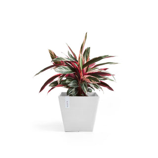 Kruka Rotterdam 30cm vit