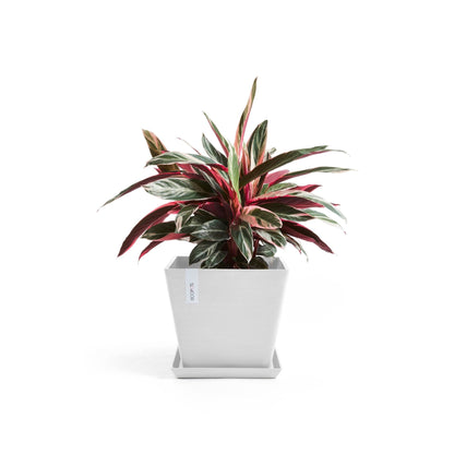 Kukkaruukku - Ecopots - Kukkaruukku Rotterdam 50cm valkoinen - Ecopots - Uuden aikakauden kukkaruukku kierrätysmateriaalista