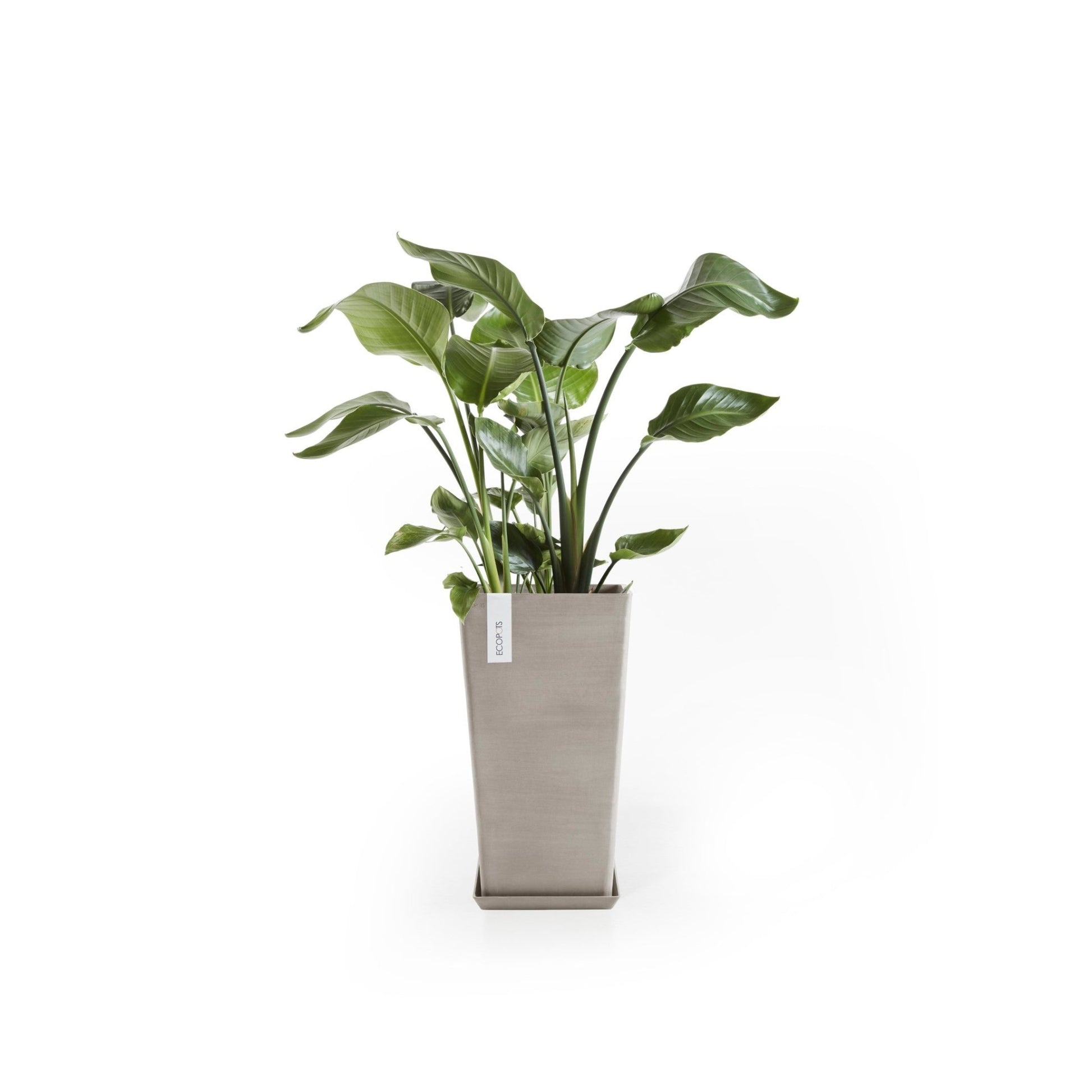 Kukkaruukku - Ecopots - Kukkaruukku Rotterdam keskikorkea 56cm taupe - Ecopots - Uuden aikakauden kukkaruukku kierrätysmateriaalista