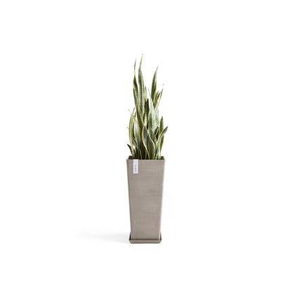 Kukkaruukku Rotterdam korkea 70cm taupe – aluslautasen ja kasvin kanssa 3