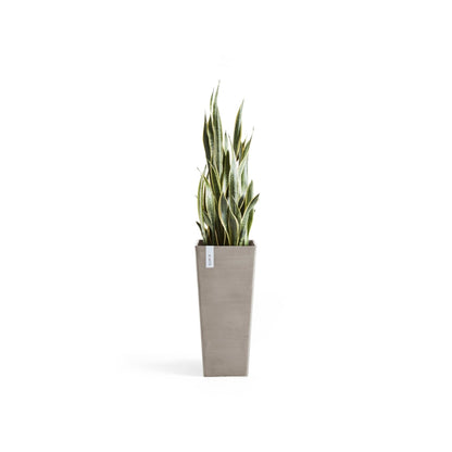 Kukkaruukku Rotterdam korkea 70cm taupe – kasvin kanssa