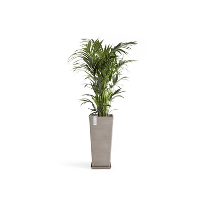 Kukkaruukku Rotterdam korkea 70cm taupe – aluslautasen ja kasvin kanssa 2
