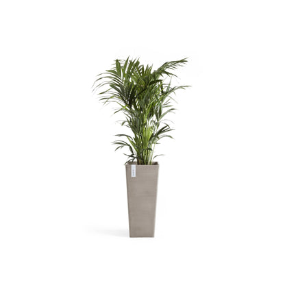Kukkaruukku Rotterdam korkea 70cm taupe – kasvin kanssa 3