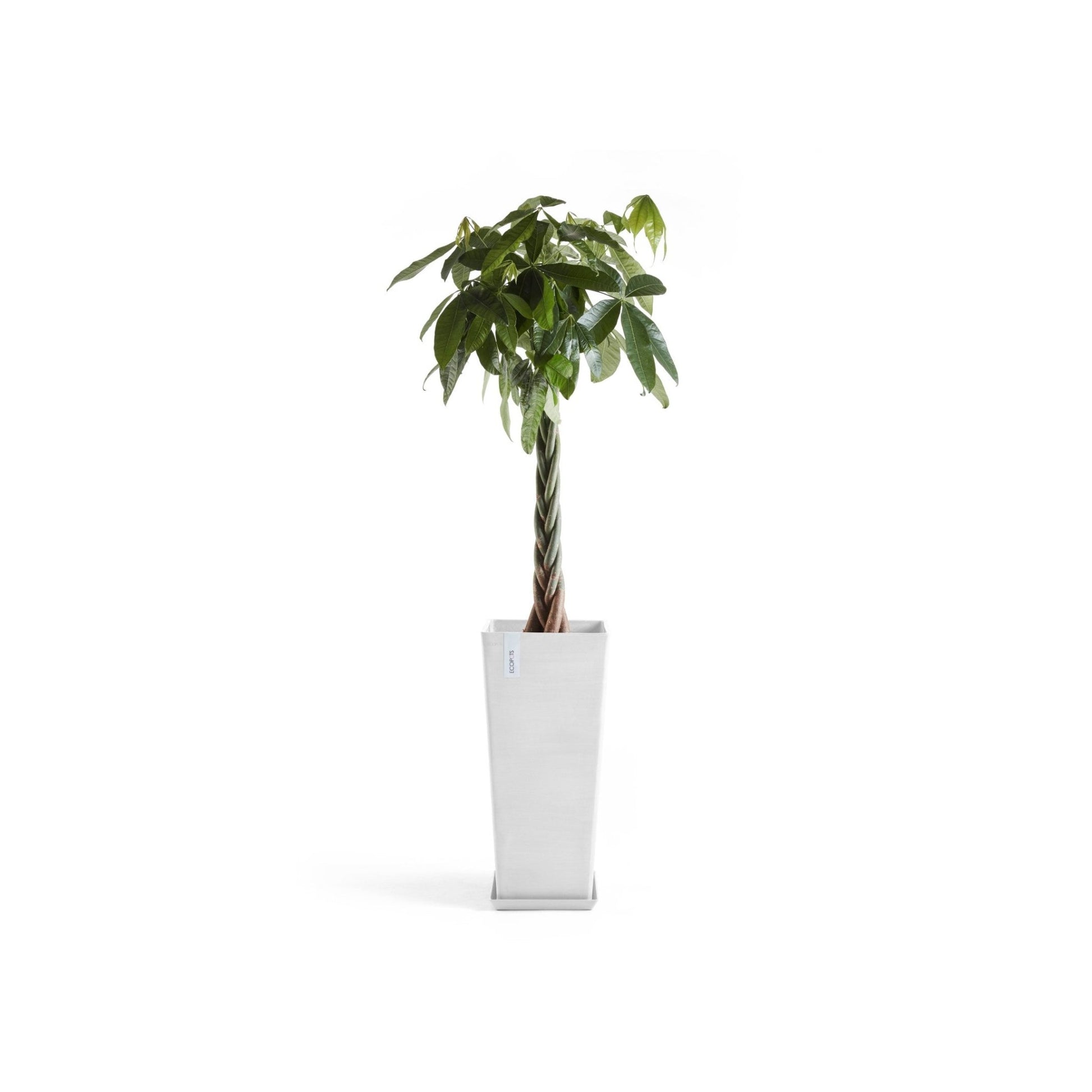 Kukkaruukku - Ecopots - Kukkaruukku Rotterdam korkea 70cm valkoinen - Ecopots - Uuden aikakauden kukkaruukku kierrätysmateriaalista