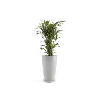 Kukkaruukku Sankara korkea 75cm valkoharmaa – aluslautasen ja kasvin kanssa 3