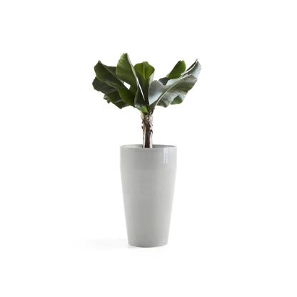 Kukkaruukku Sankara korkea 75cm valkoharmaa – kasvin kanssa 2