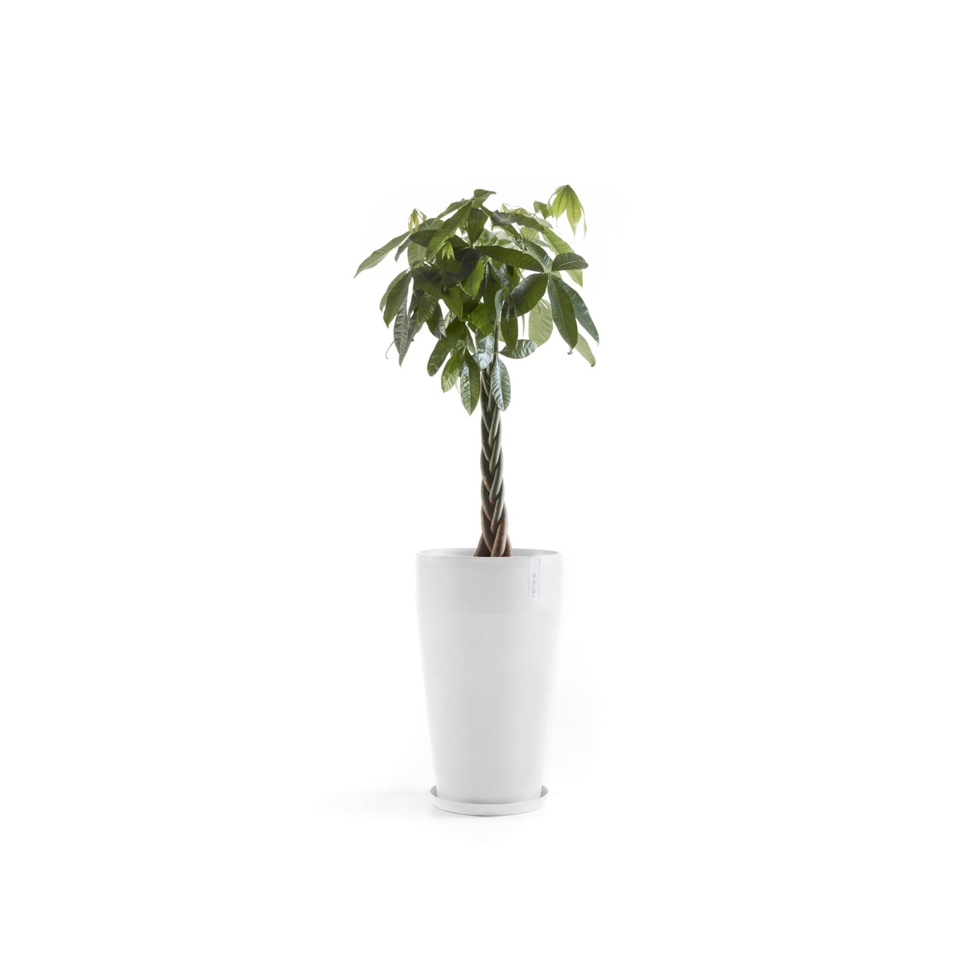 Kukkaruukku - Ecopots - Kukkaruukku Sankara korkea 75cm valkoinen - Ecopots - Uuden aikakauden kukkaruukku kierrätysmateriaalista