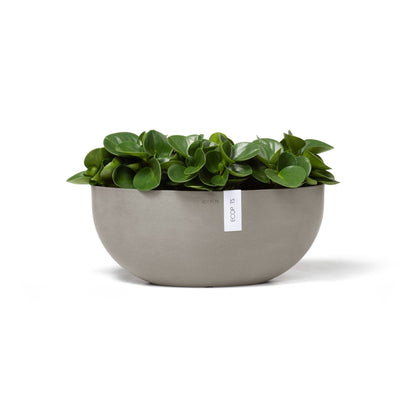 Kukkaruukku Sofia 43cm taupe – kasvin kanssa