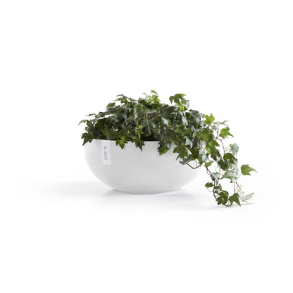 Kukkaruukku Sofia 43cm valkoinen – kasvin kanssa 4