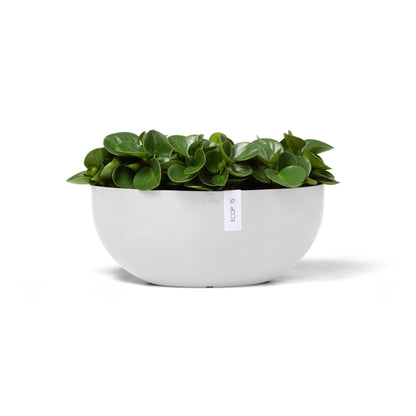 Kukkaruukku Sofia 43cm valkoinen – kasvin kanssa