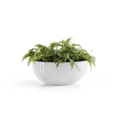 Kukkaruukku Sofia 43cm valkoinen – kasvin kanssa 5
