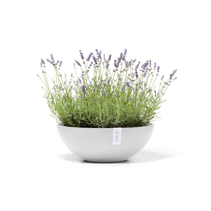 Kukkaruukku Vienna 50cm valkoinen – kasvin kanssa 3
