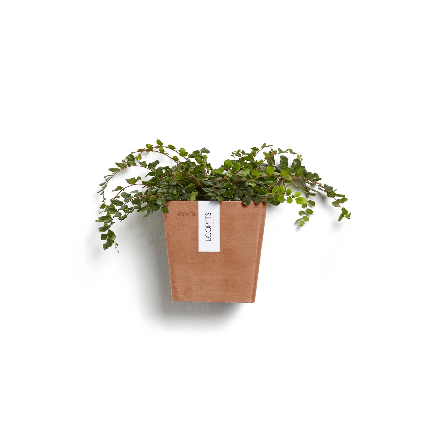 Kukkaruukku - Ecopots - Manhattan seinä 15cm terracotta - Ecopotskauppa - Uuden aikakauden kukkaruukku