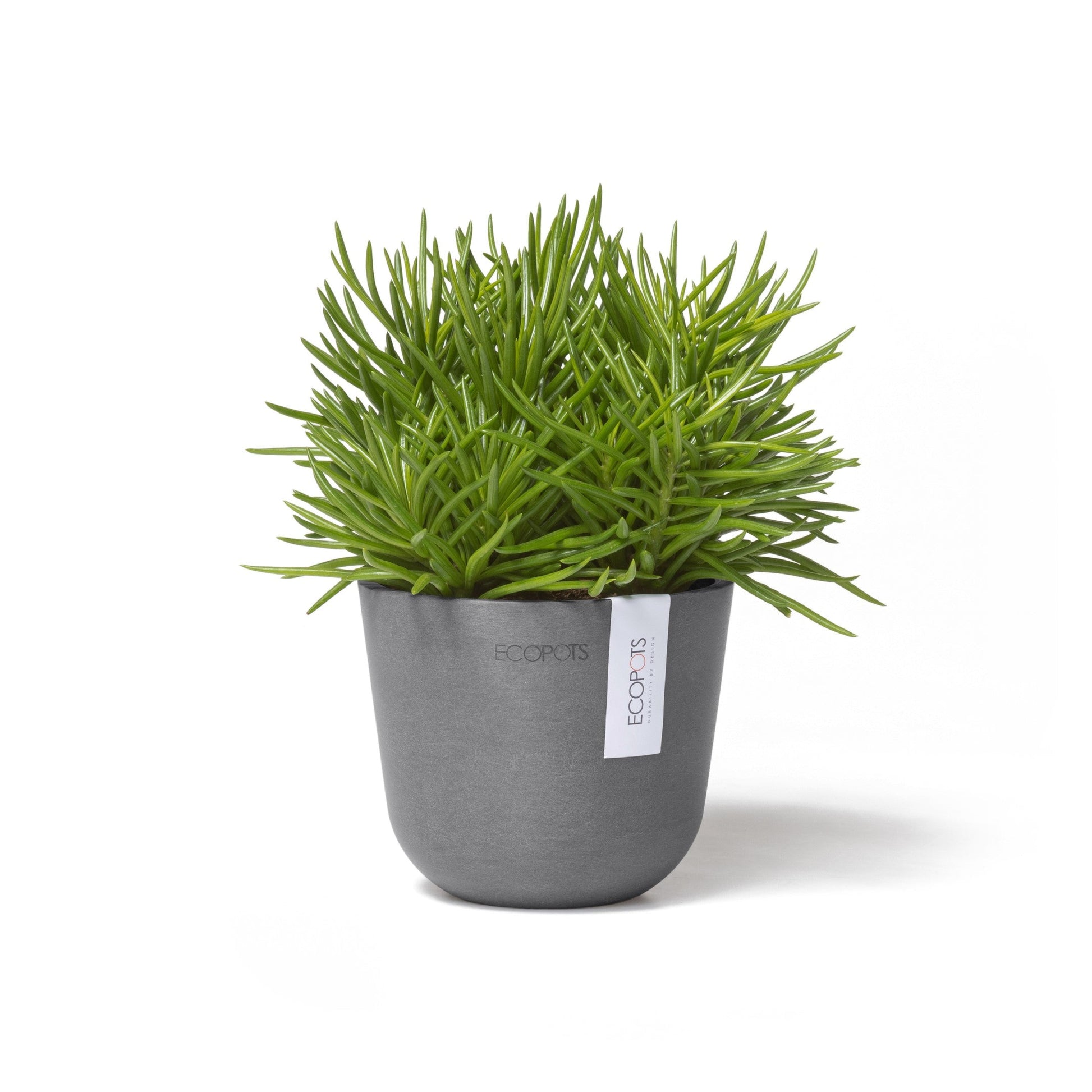 Kukkaruukku - Ecopots - Oslo 11,5cm harmaa - Ecopotskauppa - Uuden aikakauden kukkaruukku