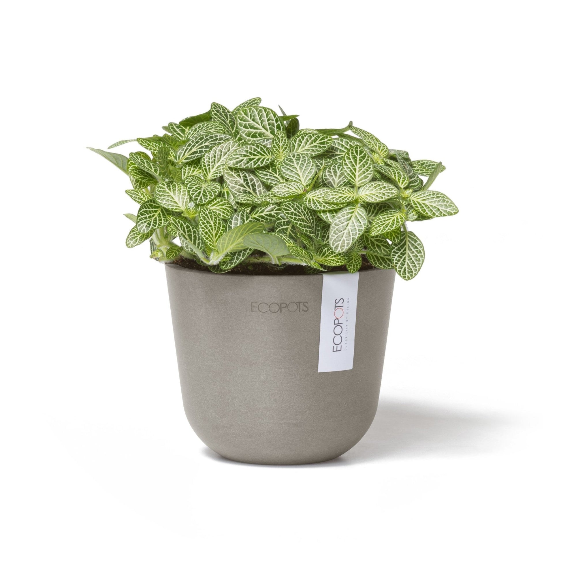 Kukkaruukku - Ecopots - Oslo 11,5cm taupe - Ecopots - Uuden aikakauden kukkaruukku kierrätysmateriaalista