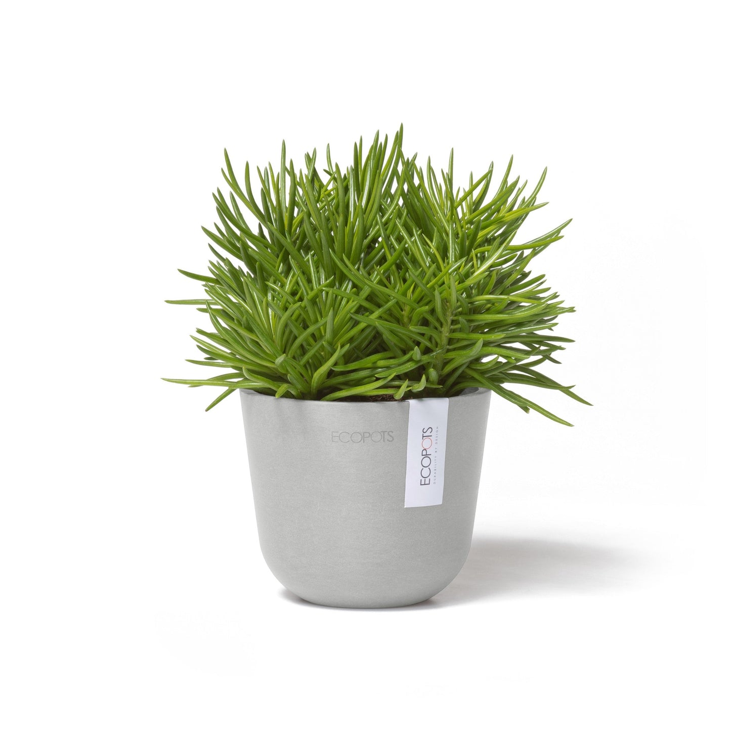 Kukkaruukku - Ecopots - Oslo 11,5cm valkoharmaa - Ecopotskauppa - Uuden aikakauden kukkaruukku