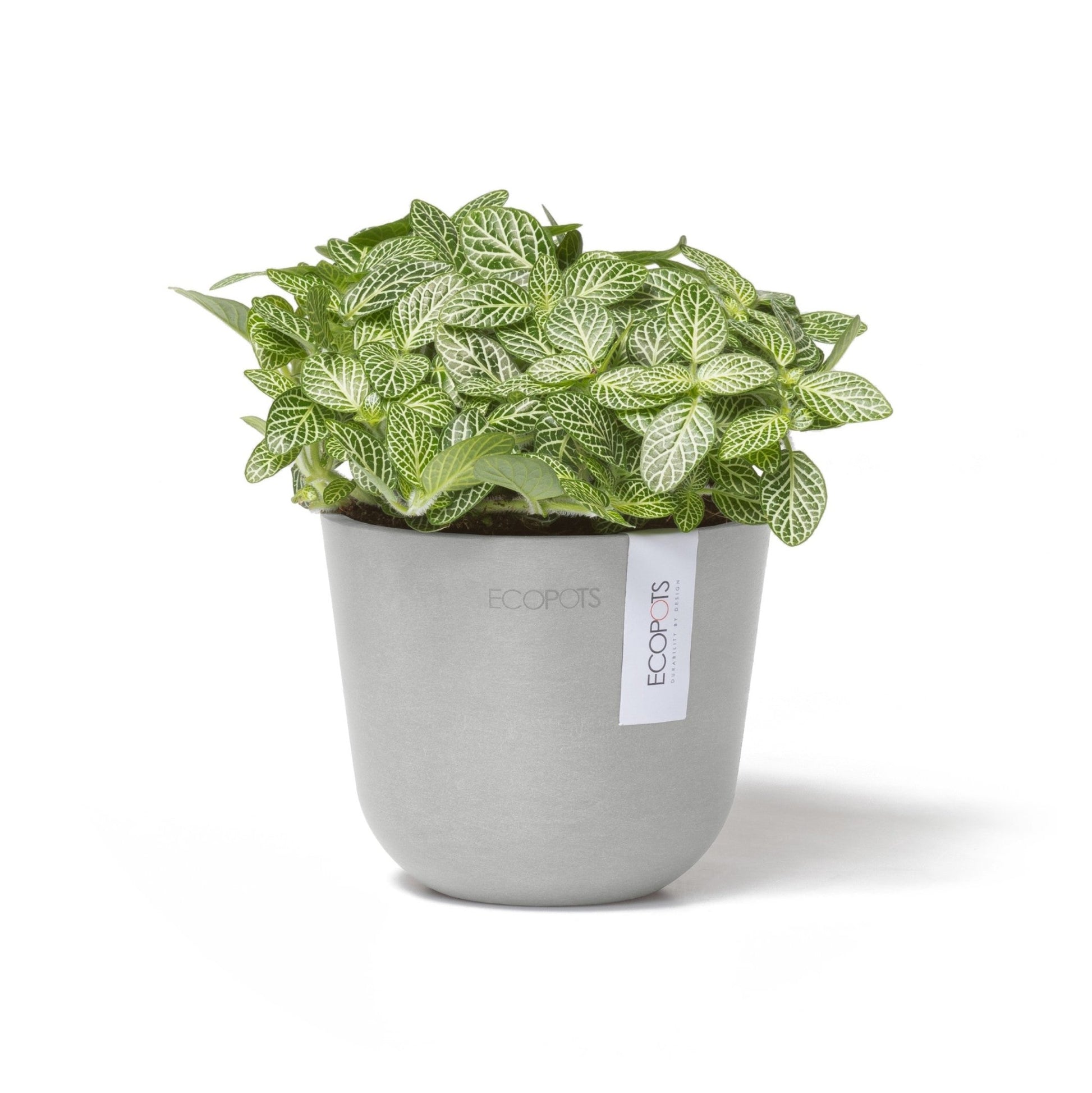 Kukkaruukku - Ecopots - Oslo 11,5cm valkoharmaa - Ecopots - Uuden aikakauden kukkaruukku kierrätysmateriaalista