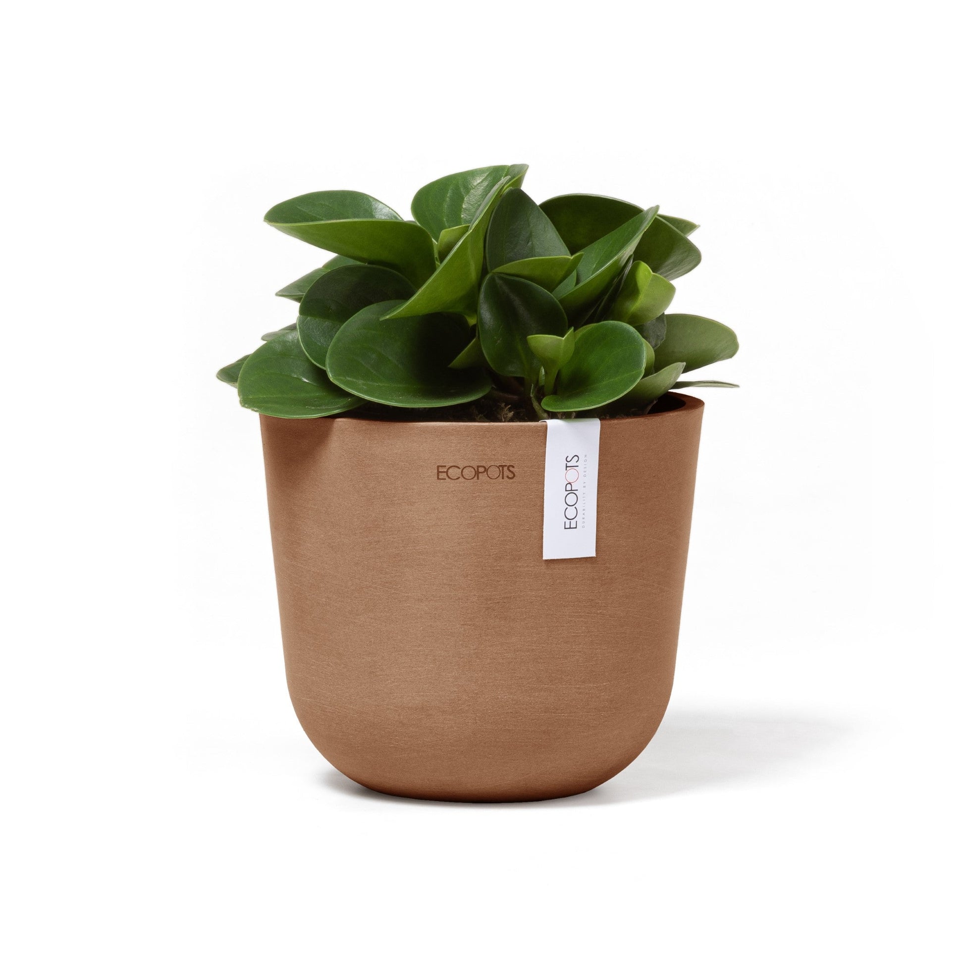 Kukkaruukku - Ecopots - Oslo 16cm terracotta - Ecopotskauppa - Uuden aikakauden kukkaruukku