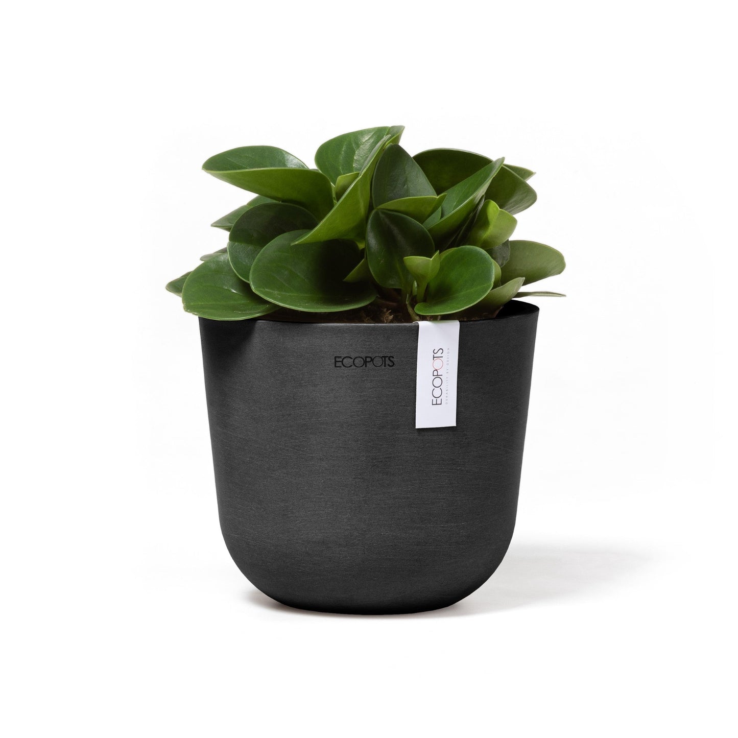 Kukkaruukku - Ecopots - Oslo 16cm tummanharmaa - Ecopotskauppa - Uuden aikakauden kukkaruukku