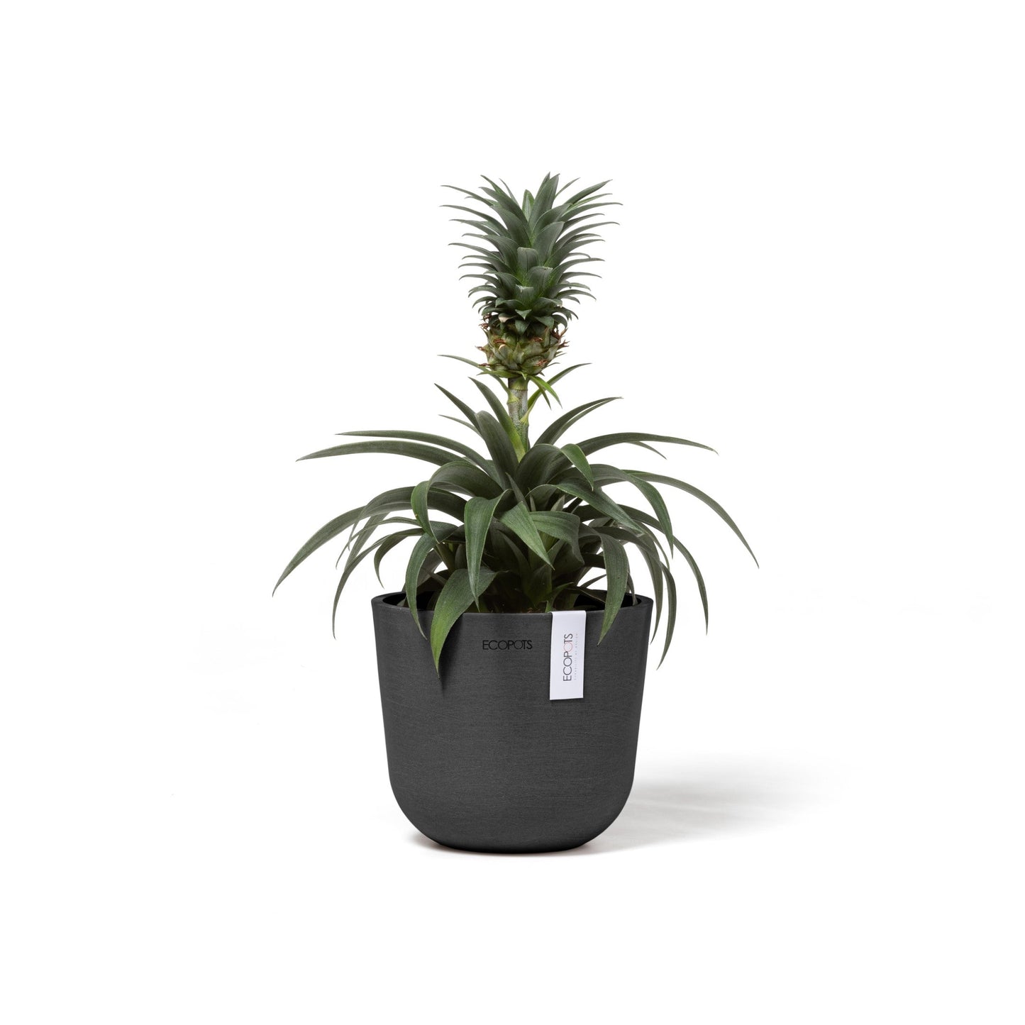 Kukkaruukku - Ecopots - Oslo 16cm tummanharmaa - Ecopotskauppa - Uuden aikakauden kukkaruukku