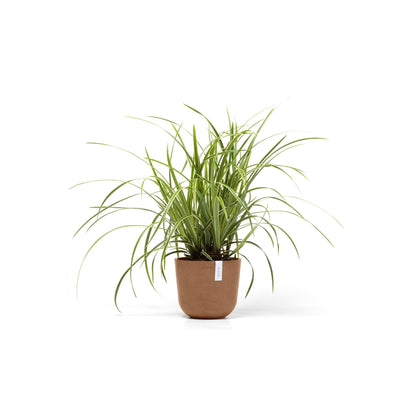 Kukkaruukku - Ecopots - Oslo 19cm terracotta - Ecopotskauppa - Uuden aikakauden kukkaruukku