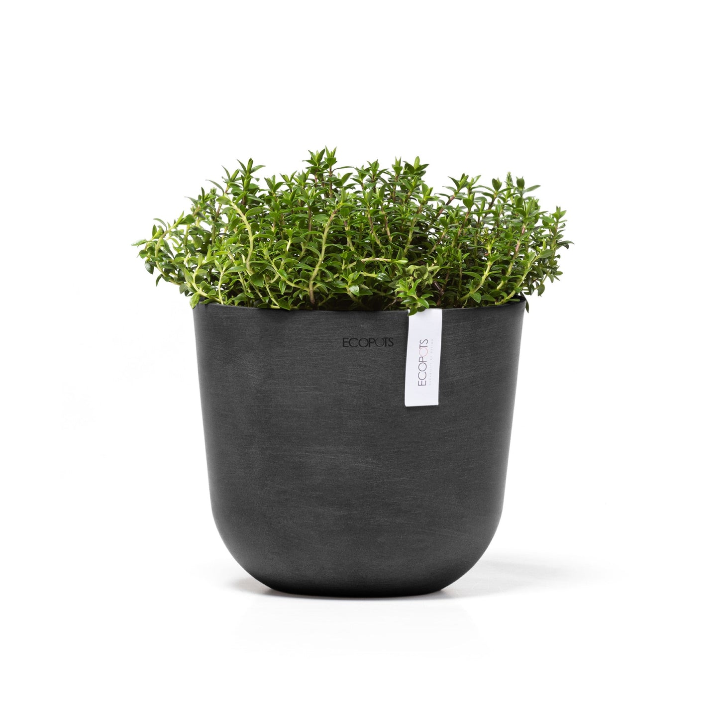 Kukkaruukku - Ecopots - Oslo 19cm tummanharmaa - Ecopotskauppa - Uuden aikakauden kukkaruukku