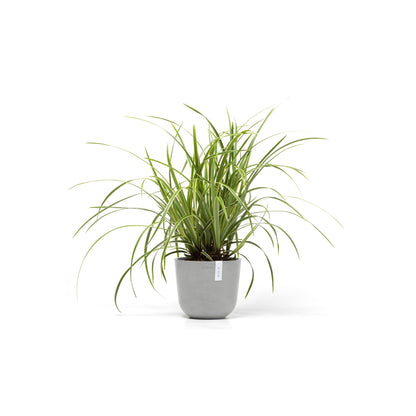 Kukkaruukku - Ecopots - Oslo 19cm valkoharmaa - Ecopotskauppa - Uuden aikakauden kukkaruukku