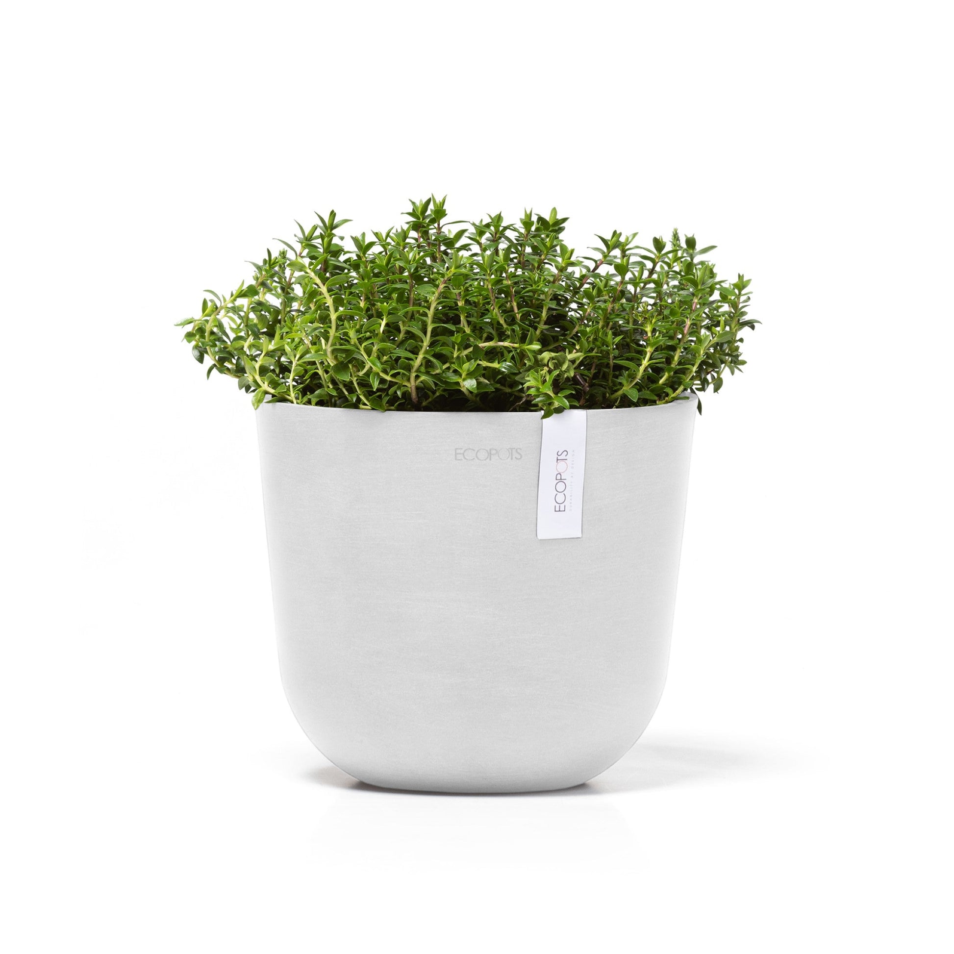 Kukkaruukku - Ecopots - Oslo 19cm valkoinen - Ecopotskauppa - Uuden aikakauden kukkaruukku