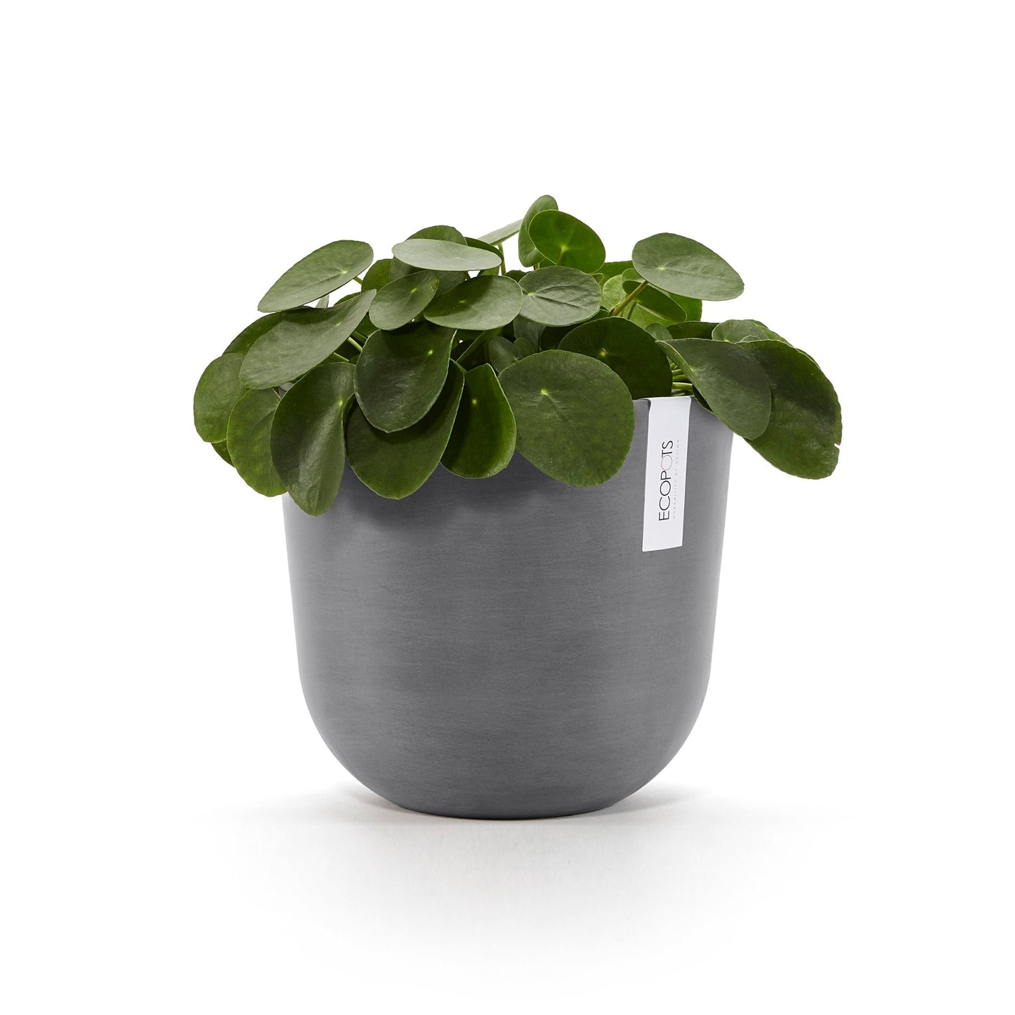 Kukkaruukku - Ecopots - Oslo 25cm harmaa - Ecopotskauppa - Uuden aikakauden kukkaruukku