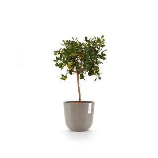 Kruka Oslo 25cm taupe