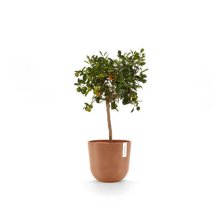 Kruka Oslo 25cm terrakotta