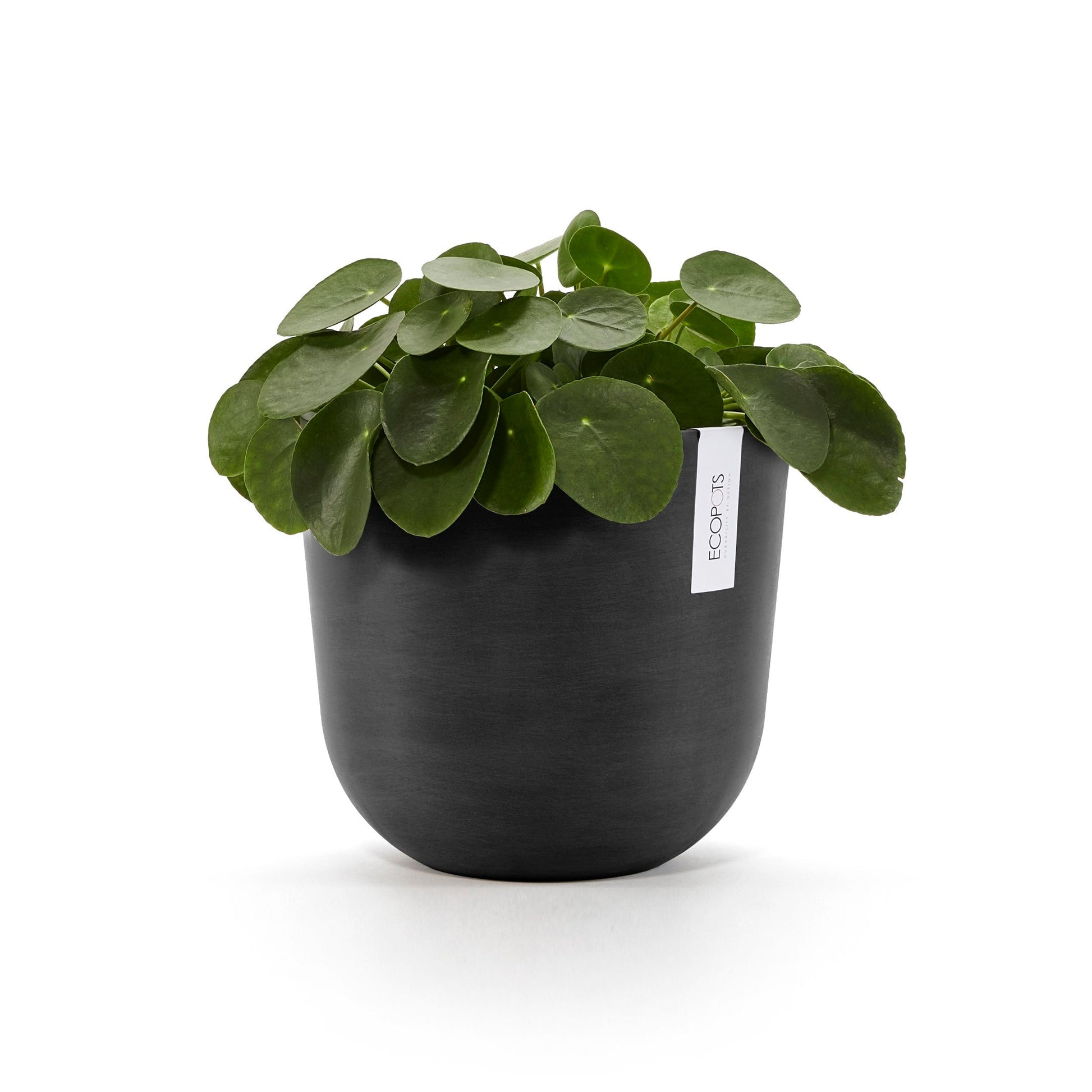 Kukkaruukku - Ecopots - Oslo 25cm tummanharmaa - Ecopotskauppa - Uuden aikakauden kukkaruukku