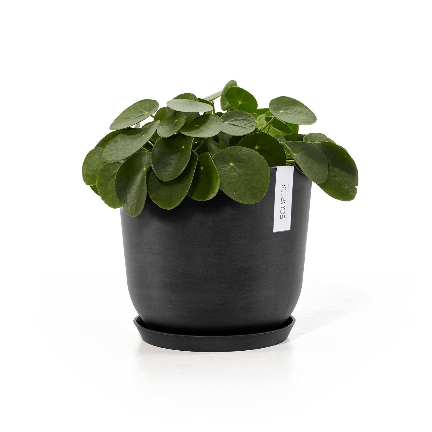 Kukkaruukku - Ecopots - Oslo 25cm tummanharmaa - Ecopotskauppa - Uuden aikakauden kukkaruukku