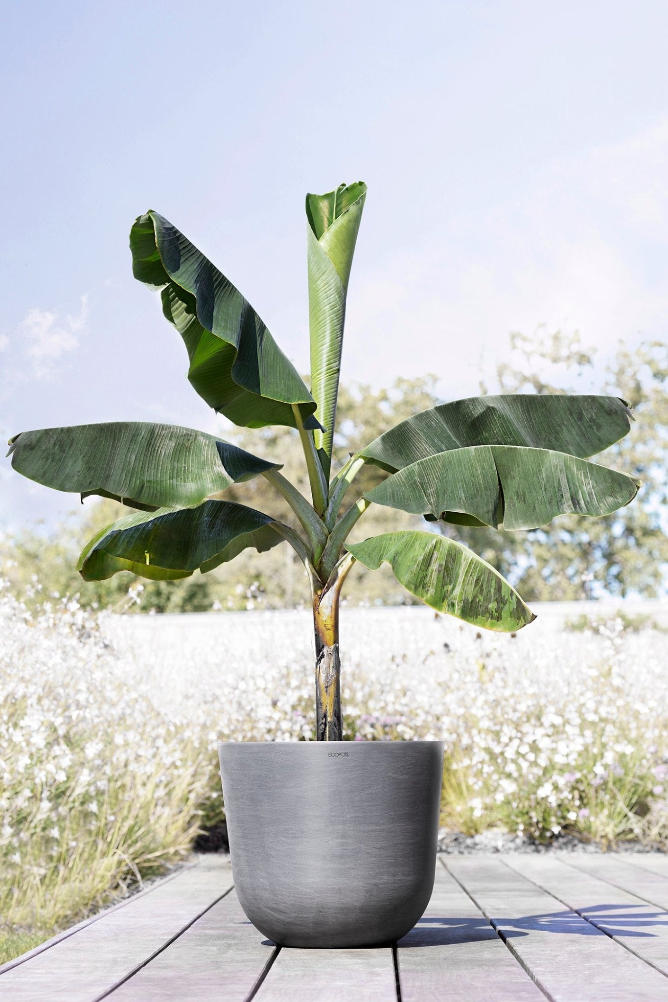 Kukkaruukku - Ecopots - Oslo 45cm harmaa - Ecopots - Uuden aikakauden kukkaruukku kierrätysmateriaalista