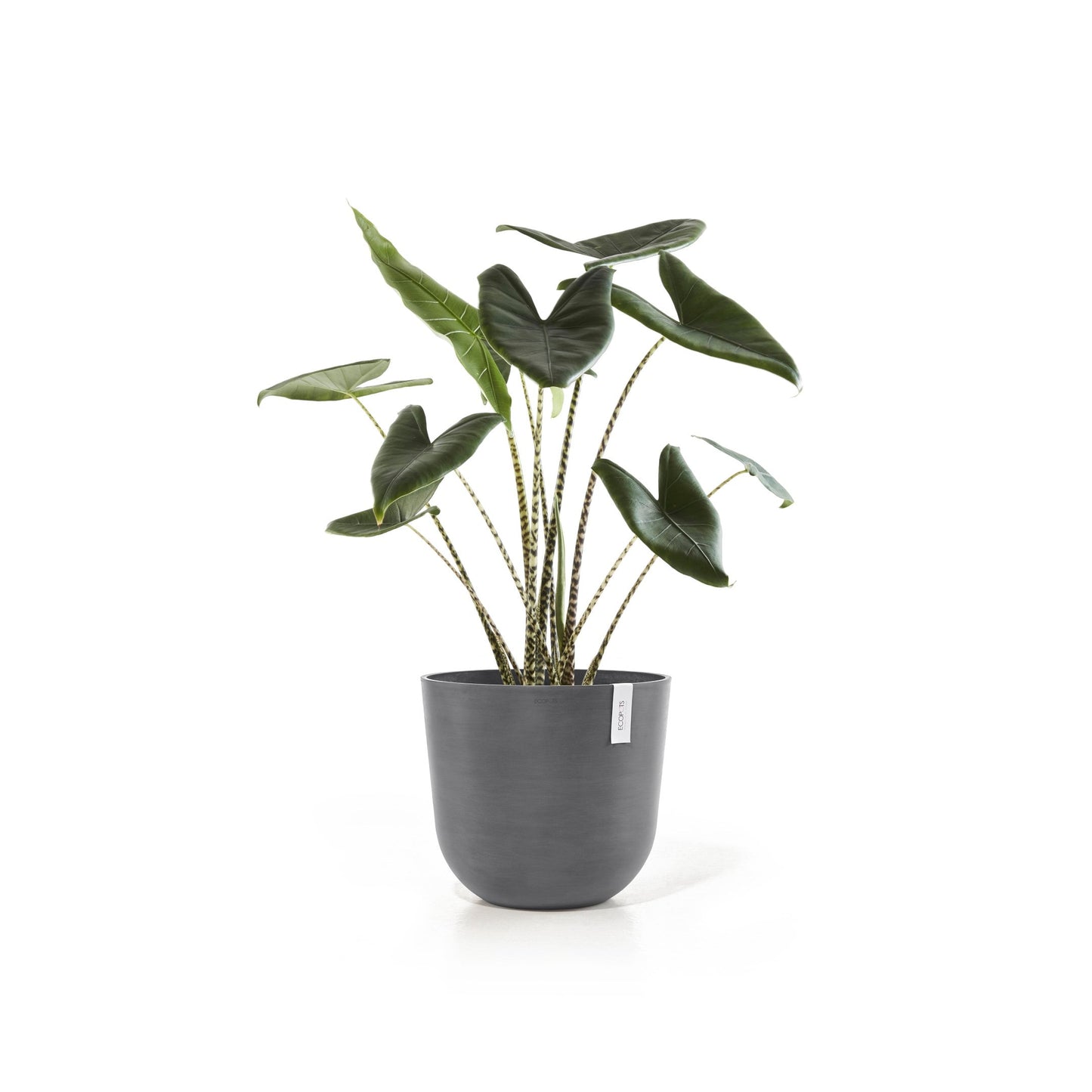 Kukkaruukku - Ecopots - Oslo 45cm harmaa - Ecopotskauppa - Uuden aikakauden kukkaruukku