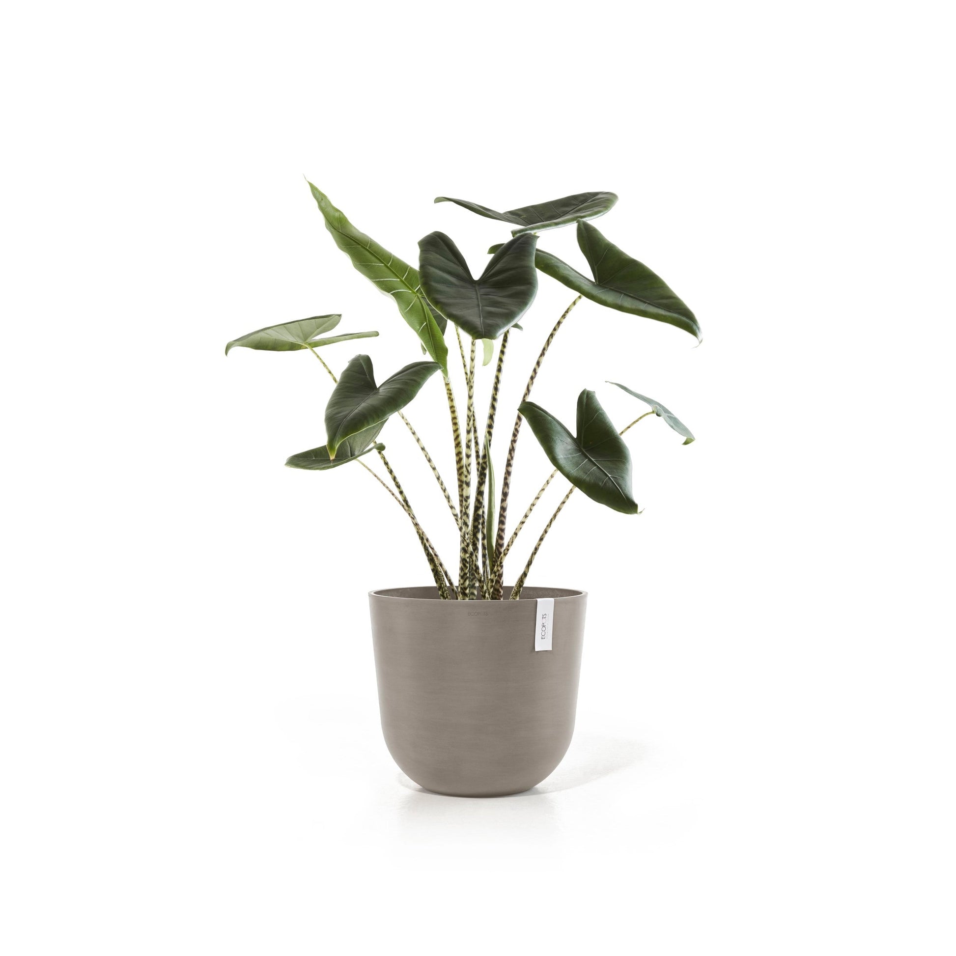 Kukkaruukku - Ecopots - Oslo 45cm taupe - Ecopotskauppa - Uuden aikakauden kukkaruukku