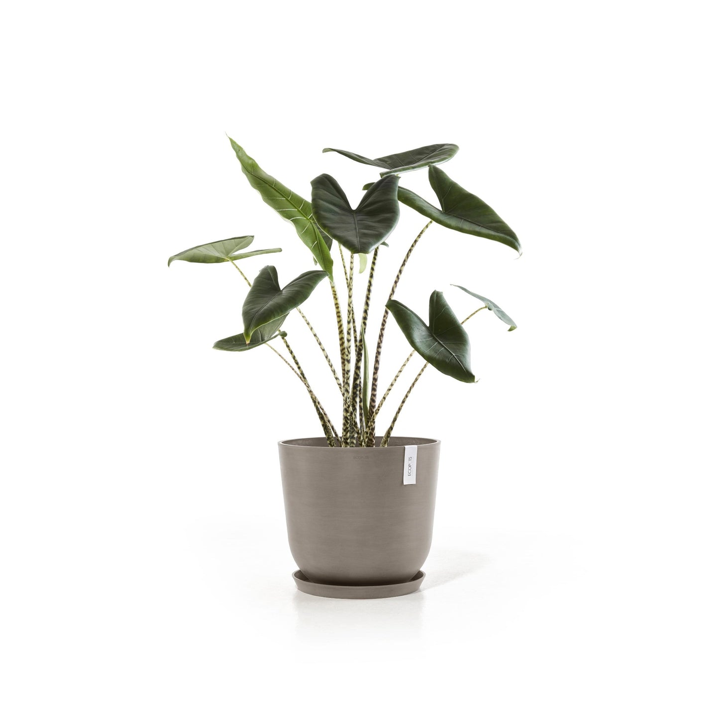 Kukkaruukku - Ecopots - Oslo 45cm taupe - Ecopotskauppa - Uuden aikakauden kukkaruukku