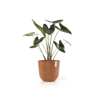 Kruka Oslo 45cm terrakotta