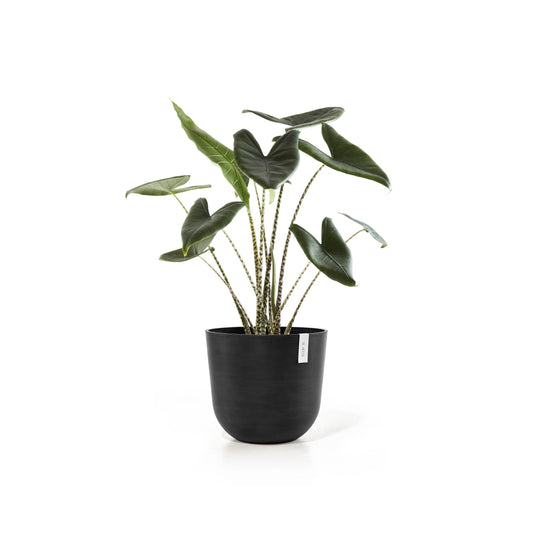 Kukkaruukku - Ecopots - Oslo 45cm tummanharmaa - Ecopotskauppa - Uuden aikakauden kukkaruukku