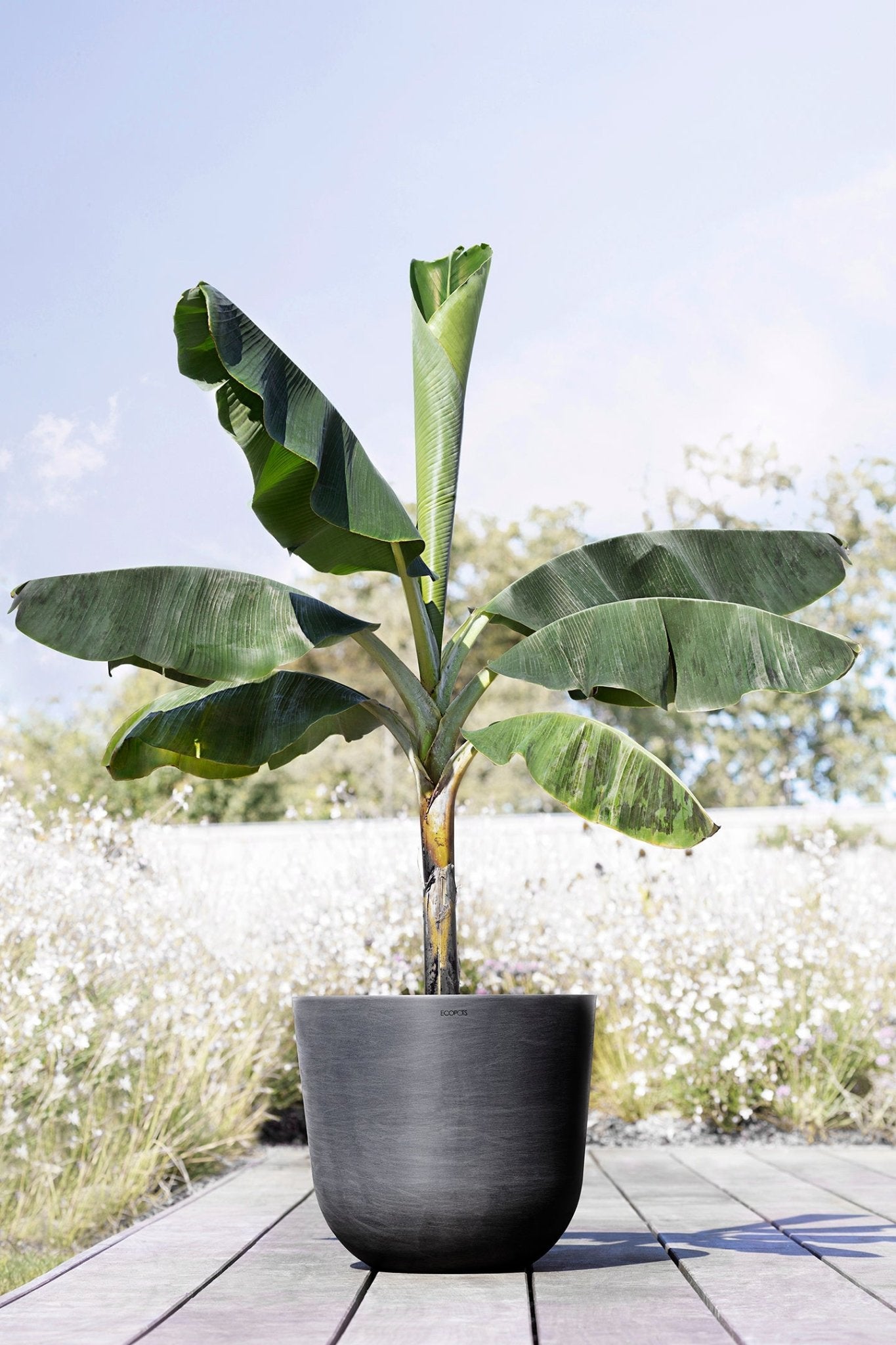 Kukkaruukku - Ecopots - Oslo 45cm tummanharmaa - Ecopots - Uuden aikakauden kukkaruukku kierrätysmateriaalista