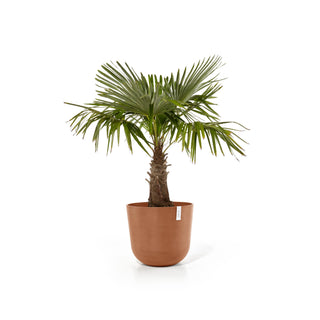 Kruka Oslo 55cm terrakotta