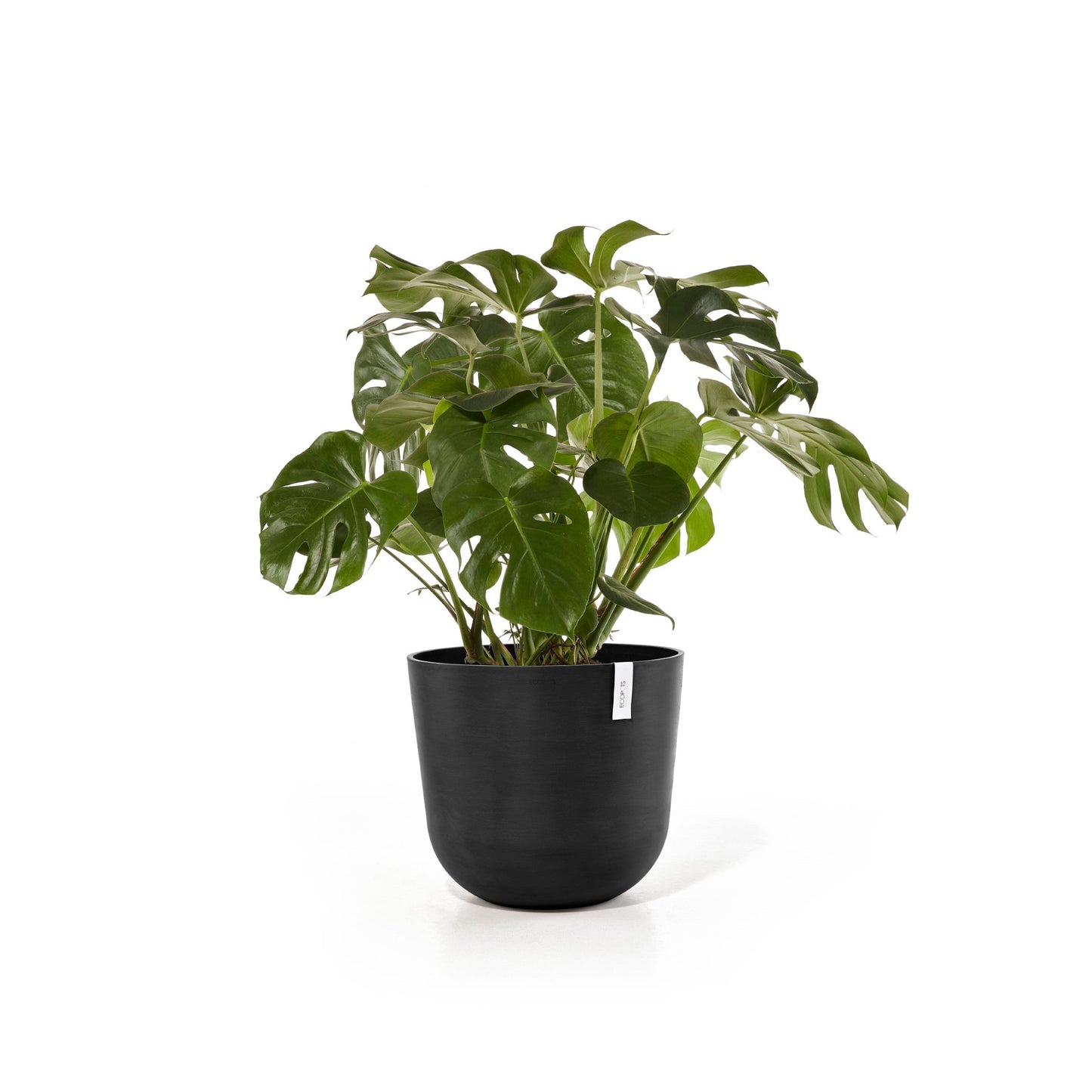 Kukkaruukku - Ecopots - Oslo 55cm tummanharmaa - Ecopotskauppa - Uuden aikakauden kukkaruukku