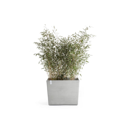 Kukkaruukku Pariisi pyörillä 85cm valkoharmaa – kasvin kanssa