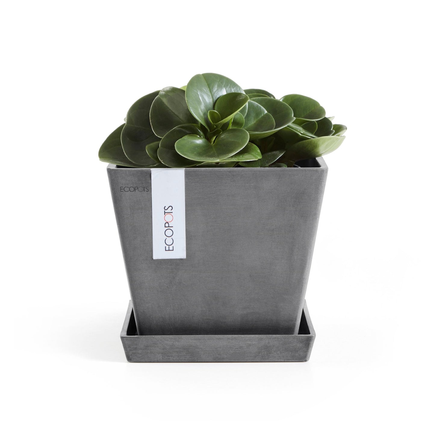 Kukkaruukku - Ecopots - Rotterdam 20cm harmaa - Ecopotskauppa - Uuden aikakauden kukkaruukku