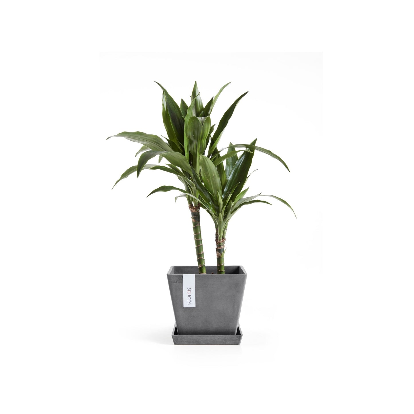 Kukkaruukku - Ecopots - Rotterdam 20cm harmaa - Ecopotskauppa - Uuden aikakauden kukkaruukku