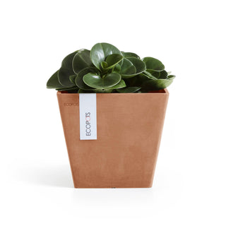 Kruka Rotterdam 20cm terrakotta