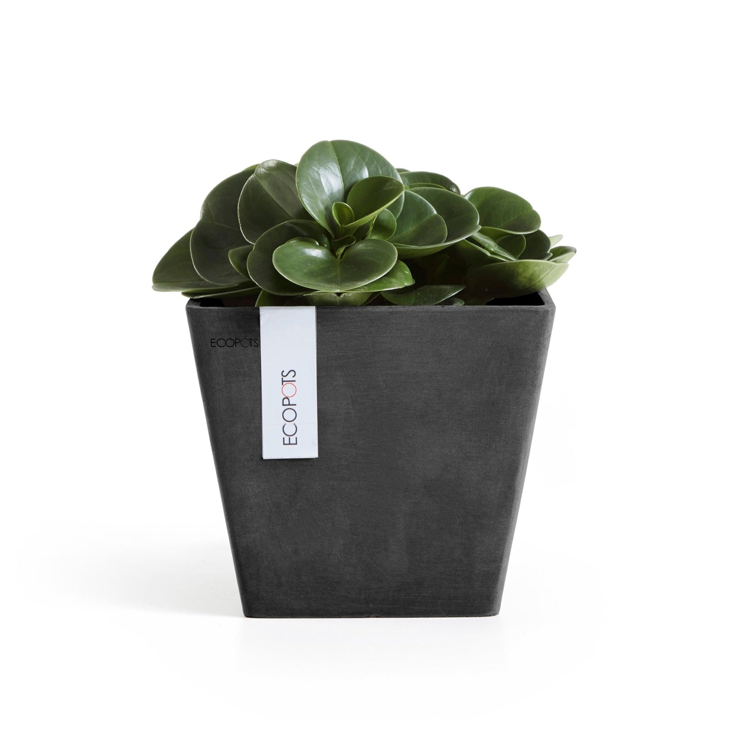 Kukkaruukku - Ecopots - Rotterdam 20cm tummanharmaa - Ecopotskauppa - Uuden aikakauden kukkaruukku