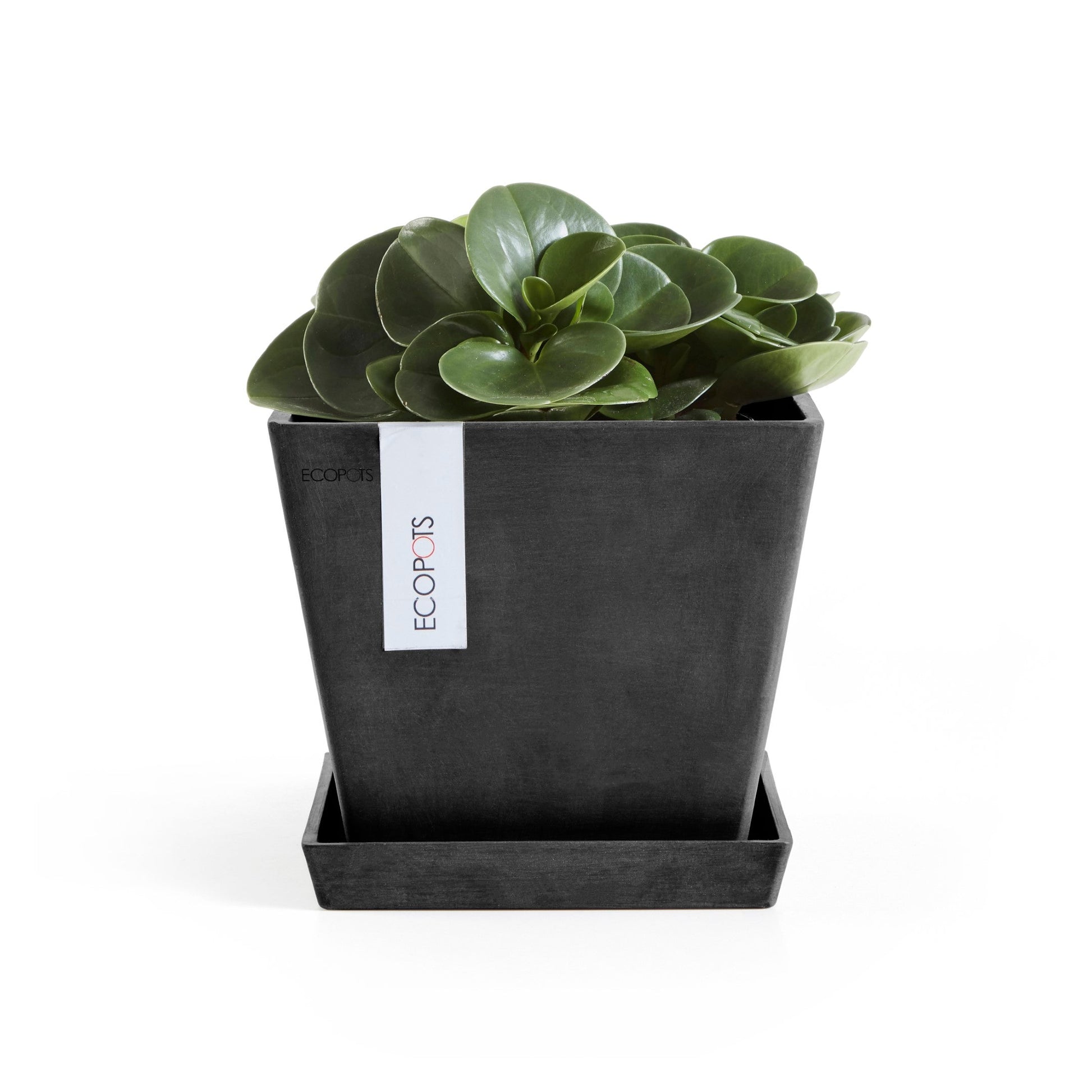 Kukkaruukku - Ecopots - Rotterdam 20cm tummanharmaa - Ecopotskauppa - Uuden aikakauden kukkaruukku