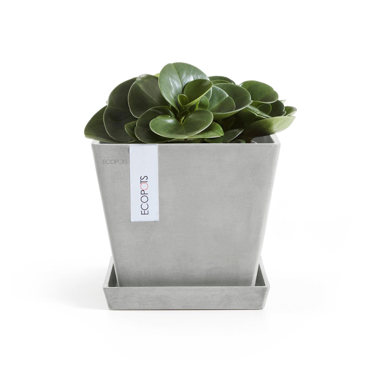 Kukkaruukku - Ecopots - Rotterdam 20cm valkoharmaa - Ecopotskauppa - Uuden aikakauden kukkaruukku